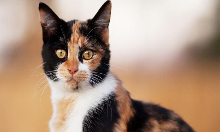 Rare and Exotic Names