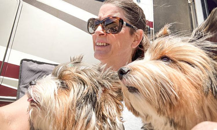 Adopt a Biewer Terrier