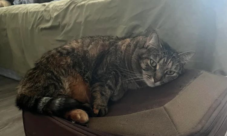 Subtle Signs You Might Be Missing