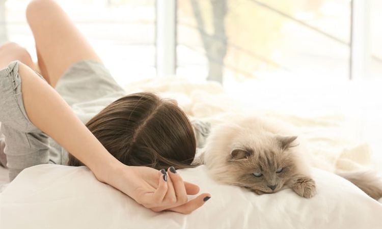 On Your Head or Pillow