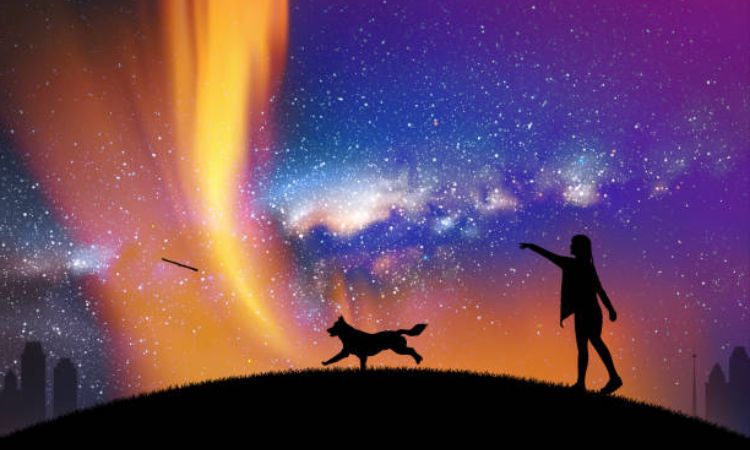 do dogs go to heaven bible